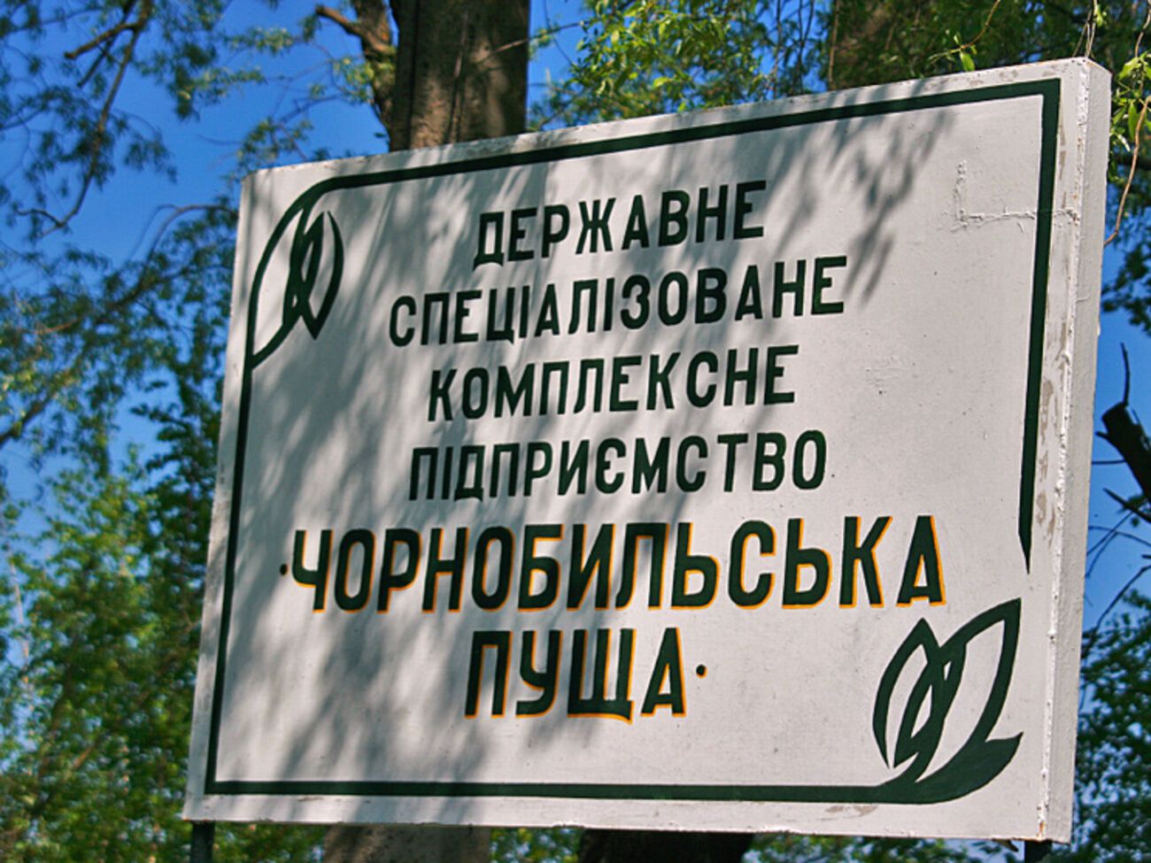 В "Чернобыльской пуще" тушат лесной пожар