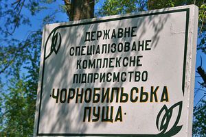 В "Чернобыльской пуще" тушат лесной пожар