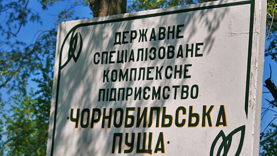 В "Чернобыльской пуще" тушат лесной пожар