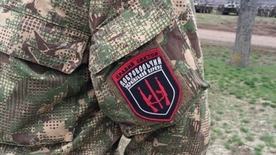 Лидер "Правого сектора" Дмитрий Ярош уже прокомментировал данную информацию