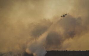 Для тушения пожара в лесу под ЧАЭС применили авиацию