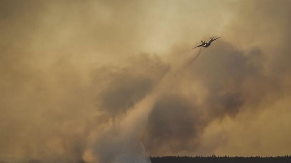 Для тушения пожара в лесу под ЧАЭС применили авиацию