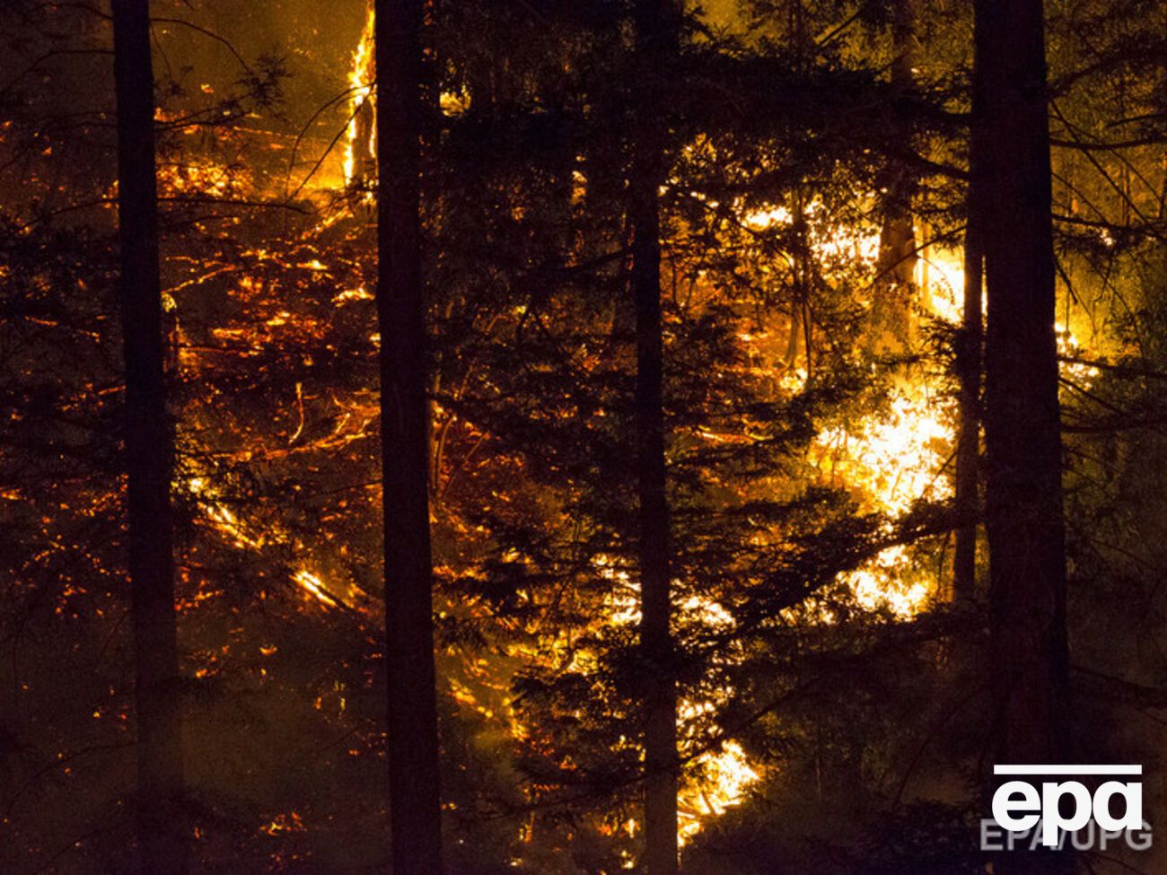 Лесные пожары пока не удается потушить