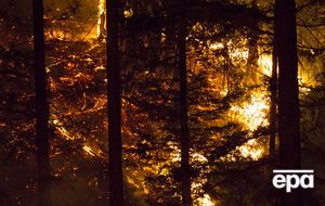 Лесные пожары пока не удается потушить