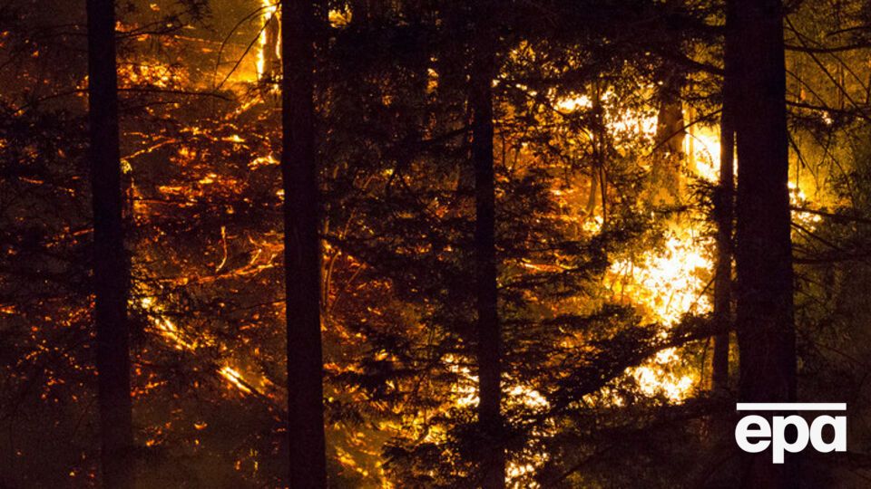 Лесные пожары пока не удается потушить