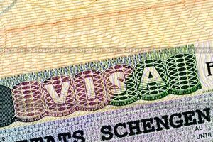 К базе отпечатков пальцев не будет доступа у Интерпола, отпечатки не будут использоваться для выявления криминального прошлого заявителя на родине