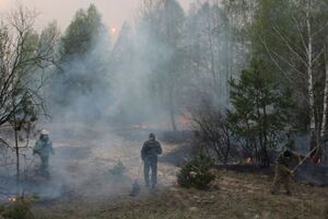Лесные пожары вблизи ЧАЭС продолжаются второй день