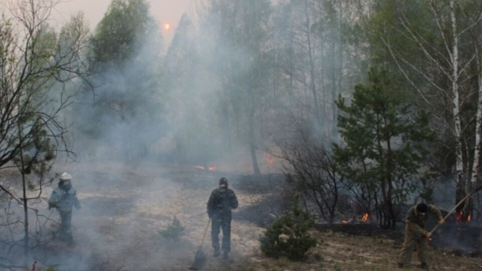 Лесные пожары вблизи ЧАЭС продолжаются второй день