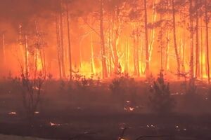 Лесные пожары вблизи ЧАЭС продолжаются второй день