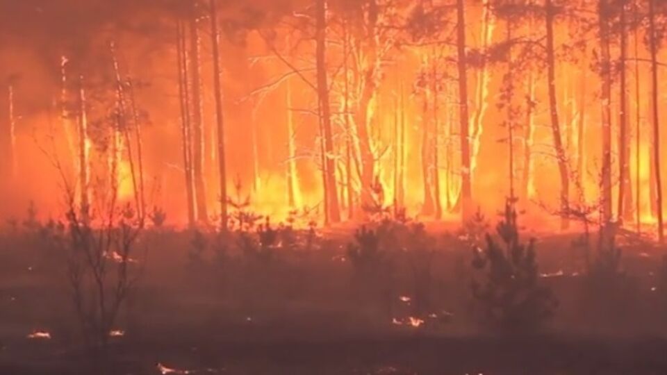 Лесные пожары вблизи ЧАЭС продолжаются второй день