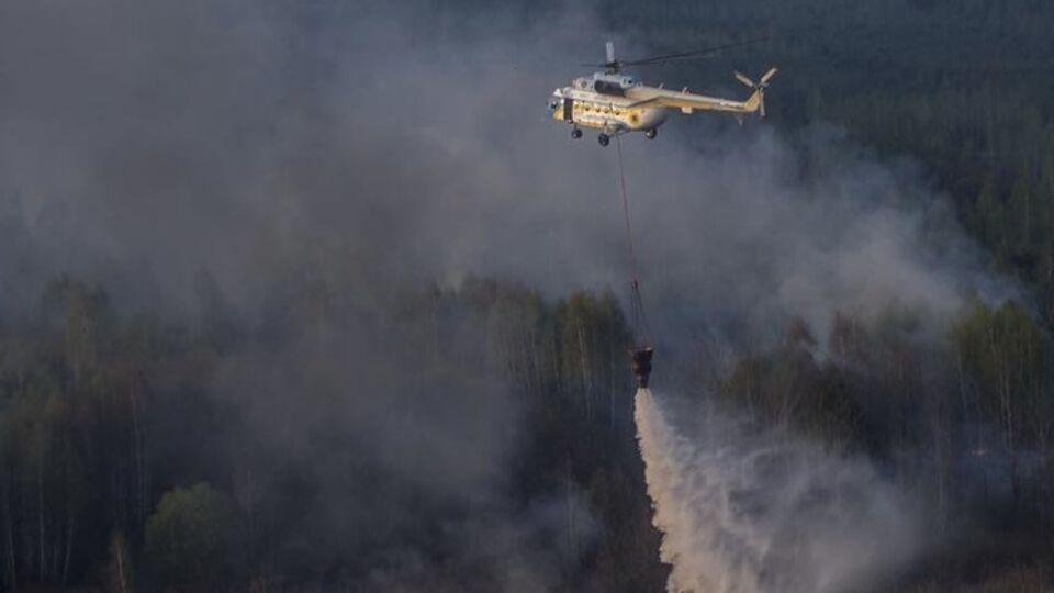 Пожар в лесах Чернобыля ликвидировали, заявили в ГСЧС
