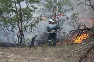 Пожар в 20 км от ЧАЭС длится второй день