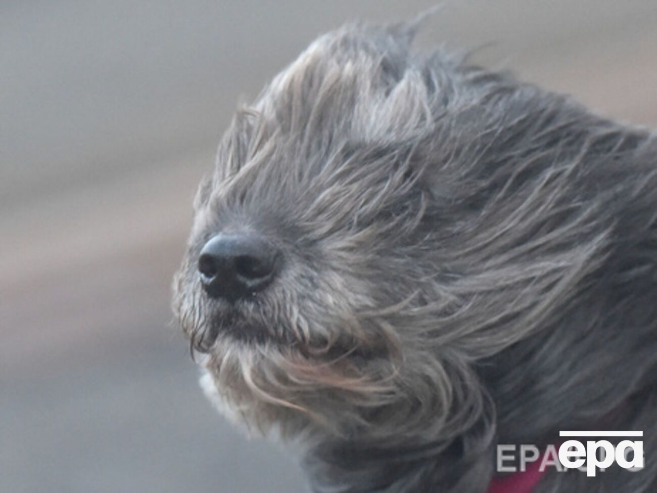 В Украине будет холодно и ветрено
