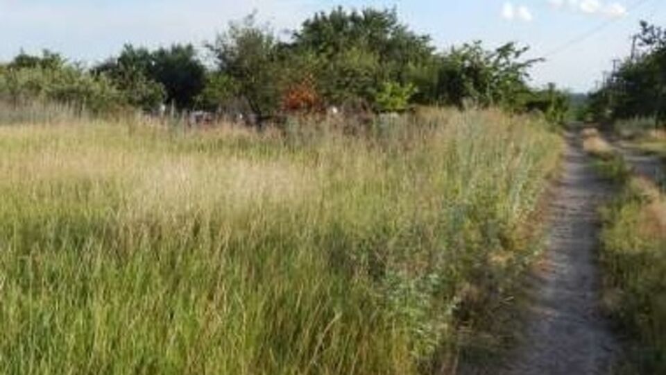 Семьи героев Небесной сотни получат землю