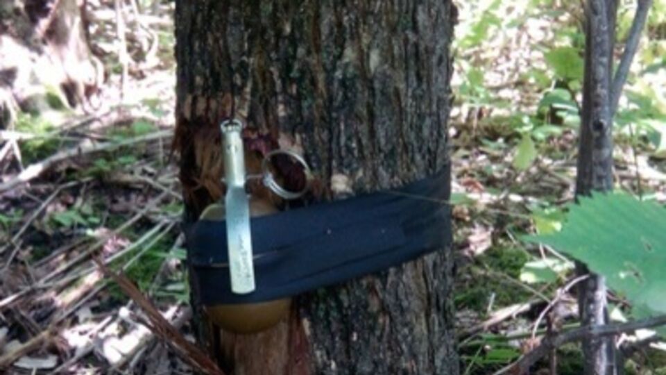 Мужчина подорвался на растяжке