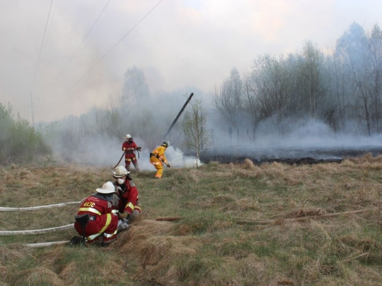 В зоне пожара открытого огня нет, только тлеют пеньки и трава
