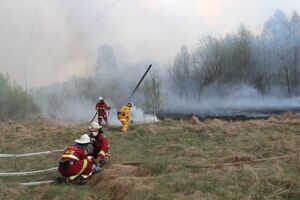 В зоне пожара открытого огня нет, только тлеют пеньки и трава