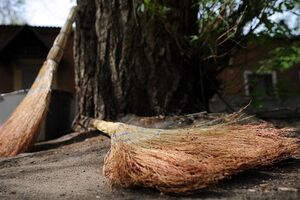 В парках "Орленок" и "Отрадный" на территории Соломенского района состоится весенняя толока "Посади дерево мира"