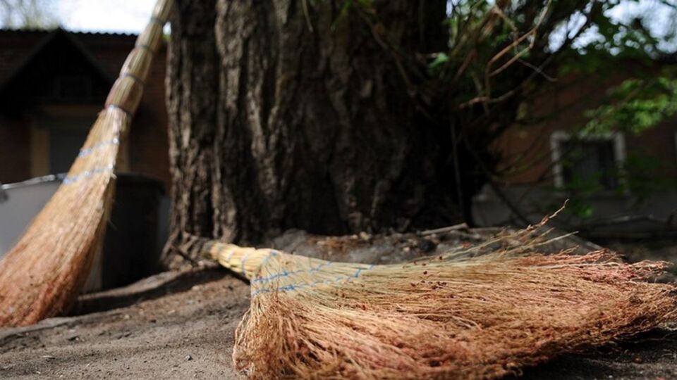 В парках "Орленок" и "Отрадный" на территории Соломенского района состоится весенняя толока "Посади дерево мира"