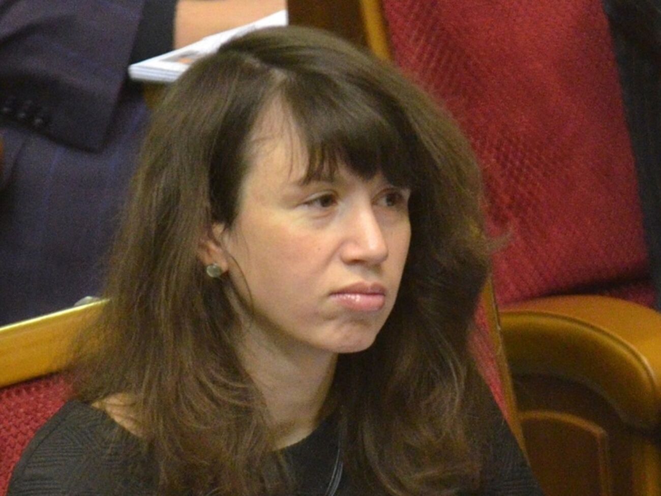 Татьяну Черновол избили в ночь на 25 декабря 2013 года на Бориспольском шоссе недалеко от Киева