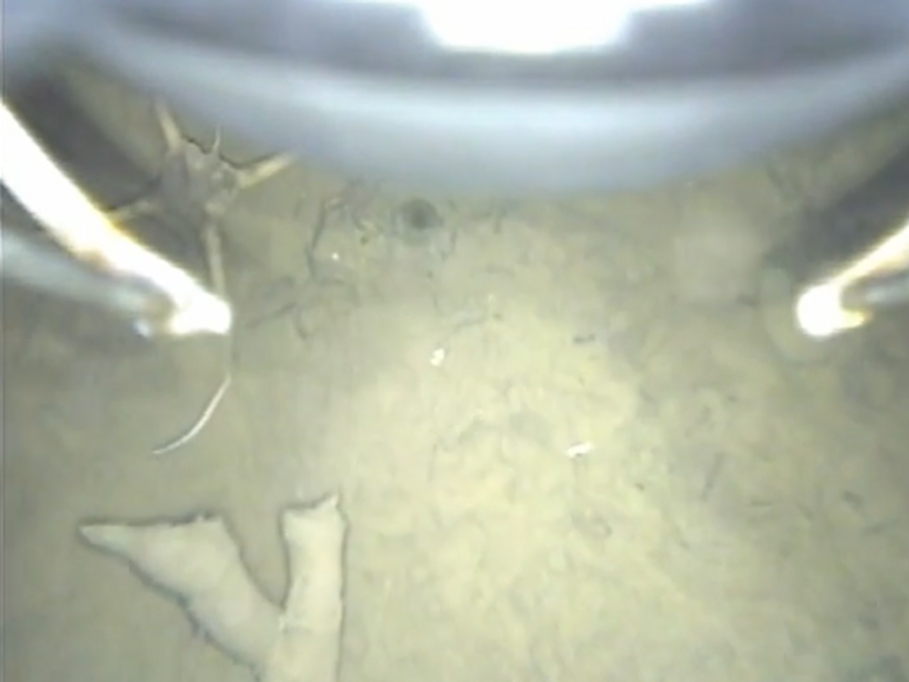 Cкриншот видео