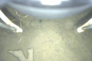 Cкриншот видео