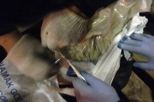 СБУ: Транзитный груз следовал по маршруту Иран --- Грузия --- Украина --- Нидерланды