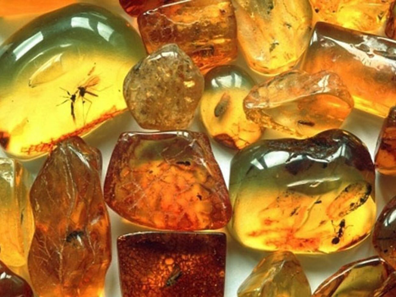 Доход от реализации янтаря чиновники клали в свой карман