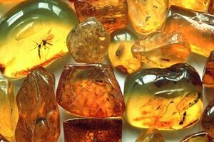 Доход от реализации янтаря чиновники клали в свой карман