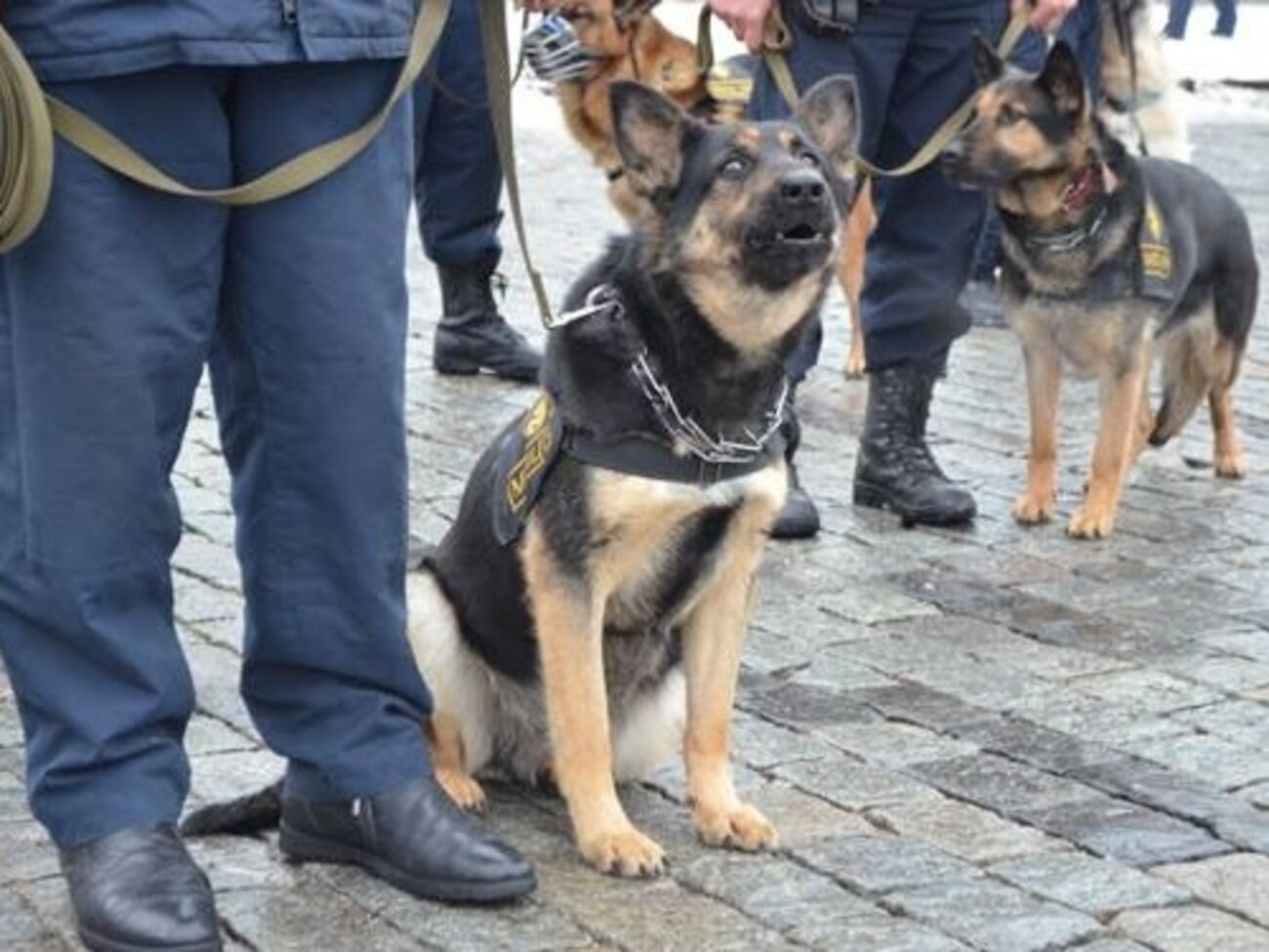 К обеспечению правопорядка в Украине на майские праздники будет привлечено более 53 тыс. человек