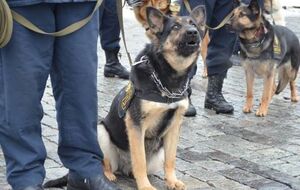 К обеспечению правопорядка в Украине на майские праздники будет привлечено более 53 тыс. человек