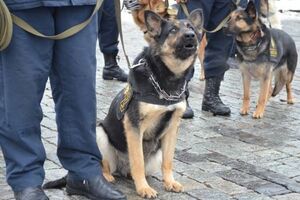 К обеспечению правопорядка в Украине на майские праздники будет привлечено более 53 тыс. человек