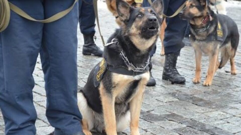 К обеспечению правопорядка в Украине на майские праздники будет привлечено более 53 тыс. человек