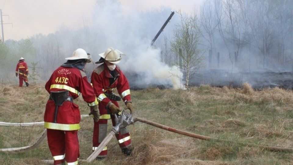 Пожар на территории "Чернобыльской пущи" в 20 км от ЧАЭС продолжается четвертый день