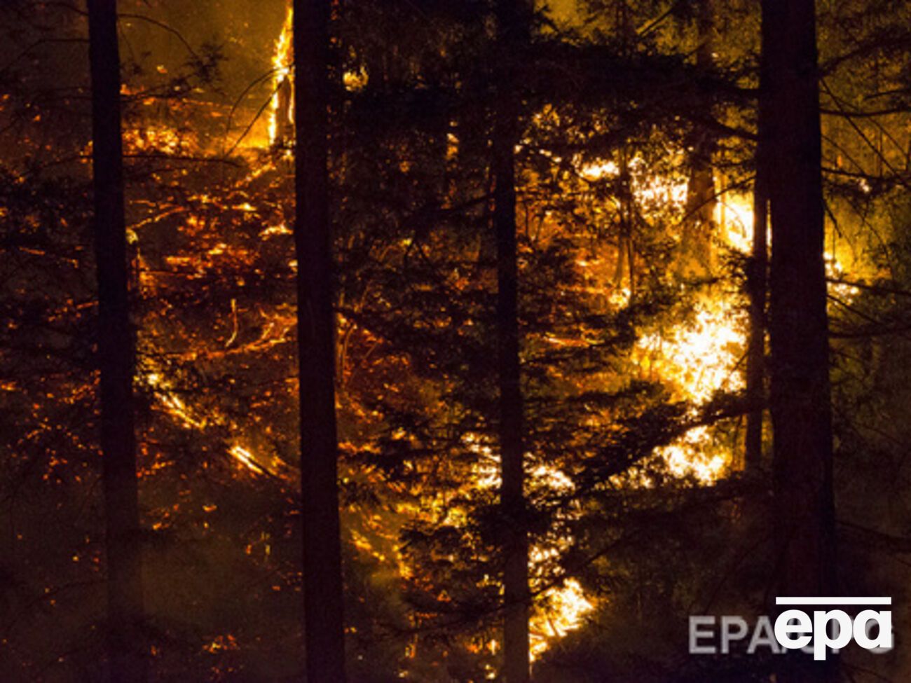 В Забайкалье уничтожено огнем около 200 жилых домов