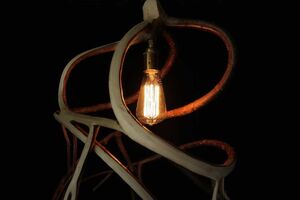 Британец выращивает мебель. Фоторепортаж