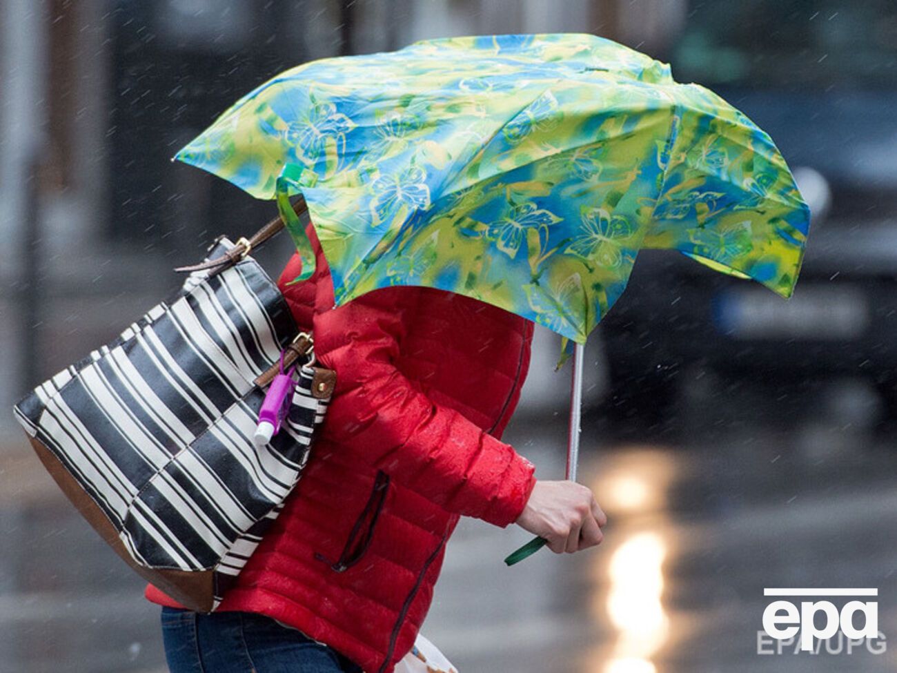 Синоптики ожидают сильные дожди на западе Украины