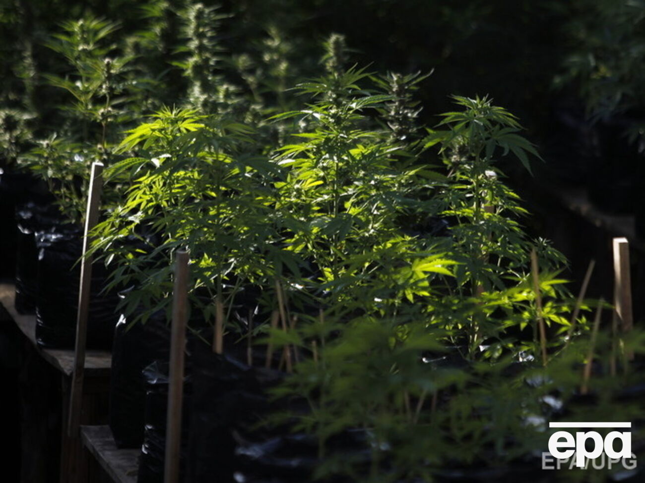 В настоящее время по данному факту проводится расследование