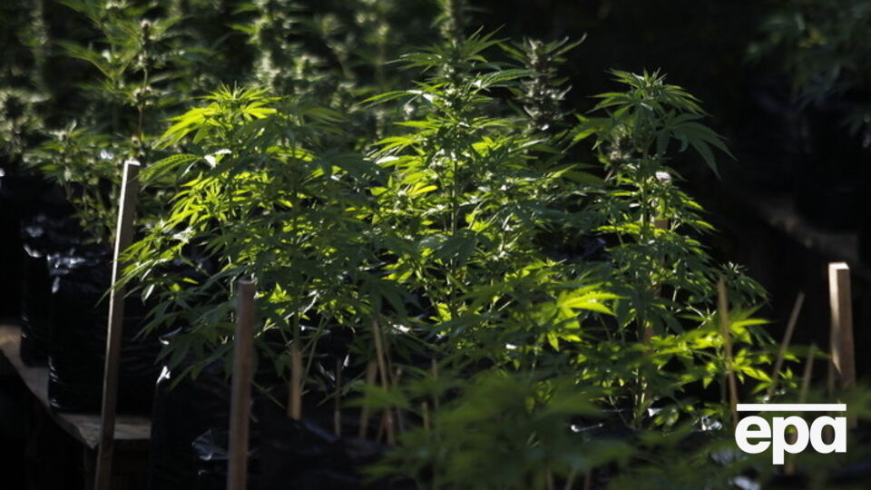 В настоящее время по данному факту проводится расследование