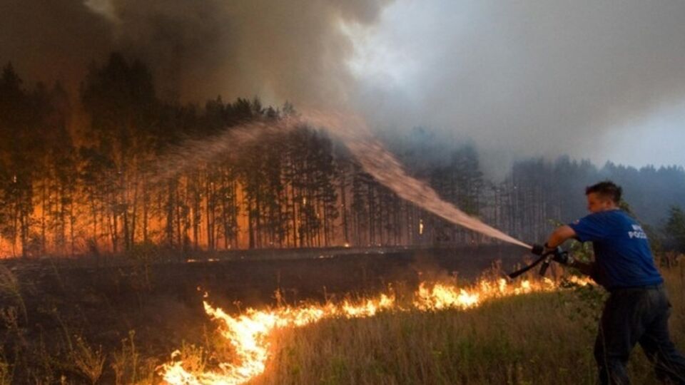 На сегодняшнее утро зарегистрировано 33 очага в 15 районах республики