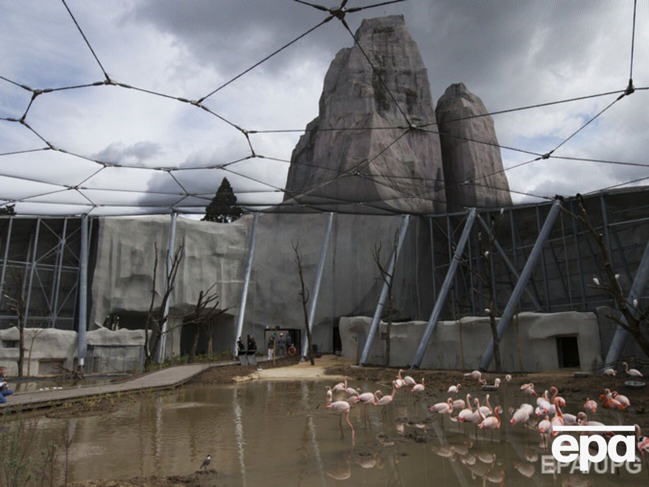 Делорд:&nbsp;Воры были экспертами и знали о ценности этих животных