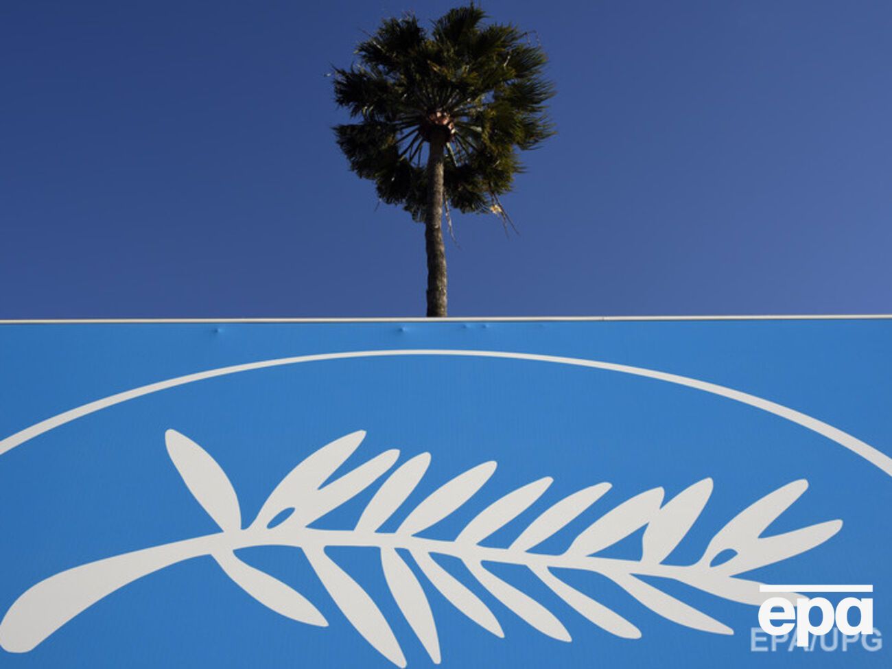 На Золотую пальмовую ветвь претендует 19 картин