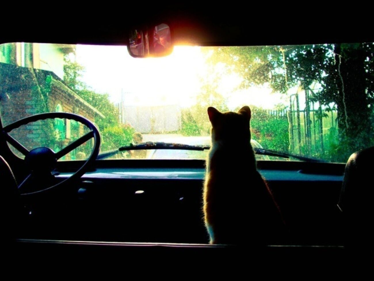 В Украине объявлено штормовое предупреждение