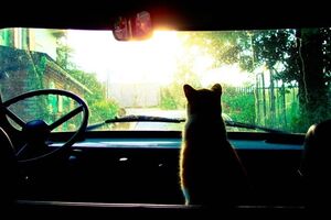 В Украине объявлено штормовое предупреждение