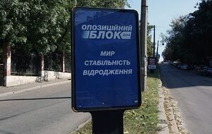 В парламент вошли еще два нардепа, голосовавших за "диктаторские законы"