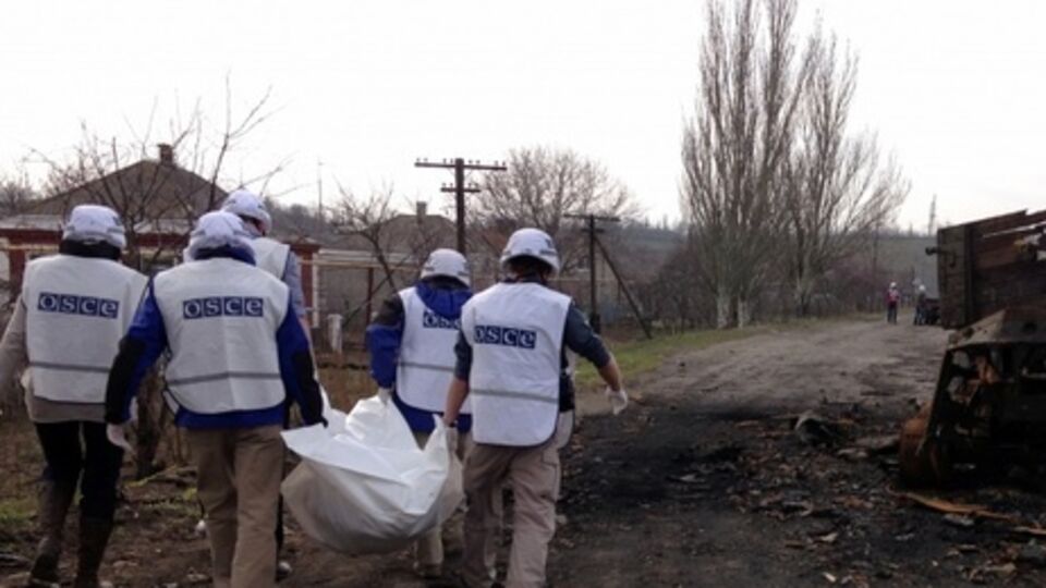 Наблюдатели ОБСЕ скорее советники по браку, нежели адвокаты по разводам, сказал президент фонда "Потомак"
