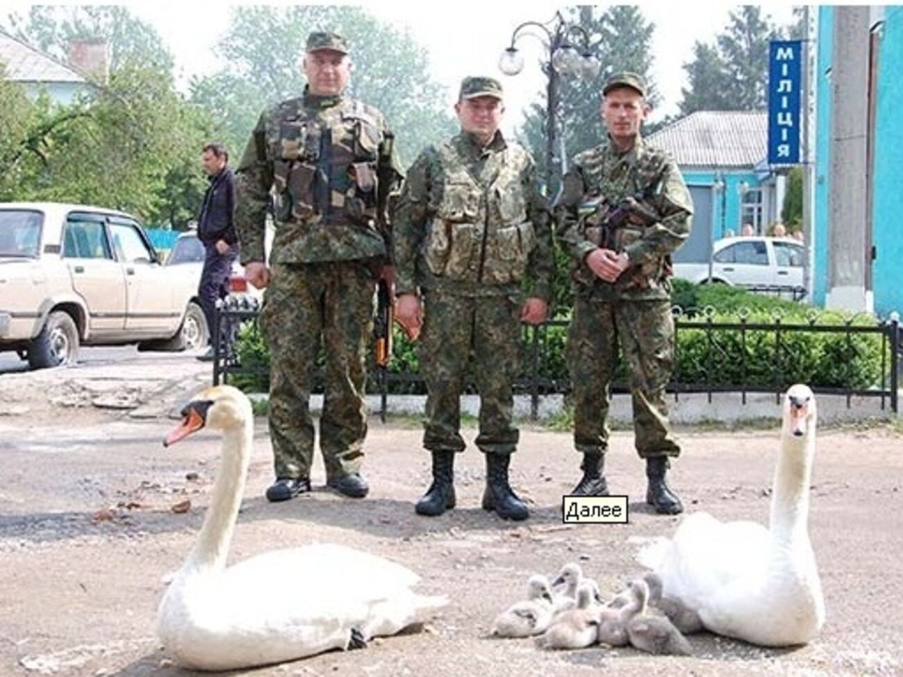 Гаишники провели лебедей по городу