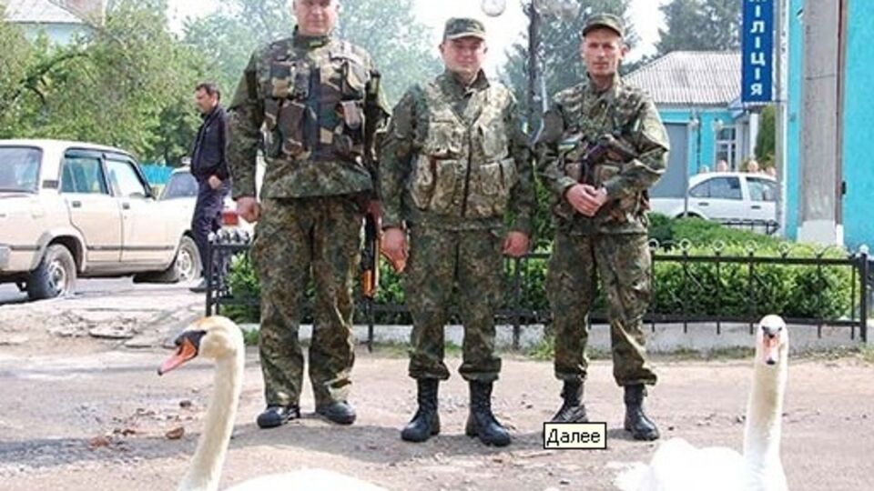 Гаишники провели лебедей по городу