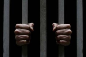 Поляк и украинки переданы сотрудникам правоохранительных органов для установления обстоятельств произошедшего