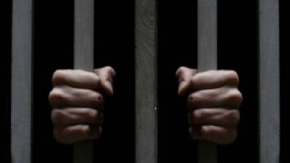 Поляк и украинки переданы сотрудникам правоохранительных органов для установления обстоятельств произошедшего